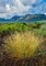 Eastern Sierra IV Poster Print by Mark Geistweite - Item # VARPDXPSGWT115